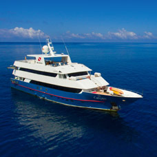 Calipso Yacht | Royal Galapagos Tours, Hotels & Cruises