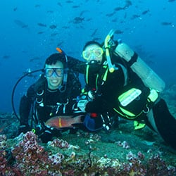 Galapagos Diving