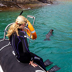 Galapagos Snorkeling