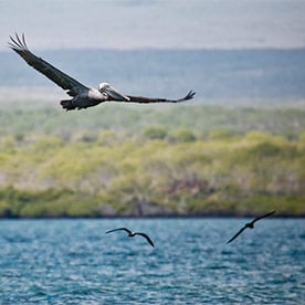 Bahía Borrero